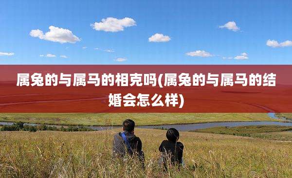 属兔的与属马的相克吗(属兔的与属马的结婚会怎么样)
