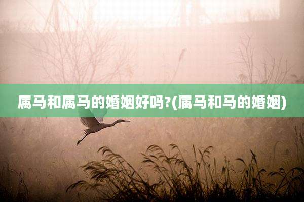 属马和属马的婚姻好吗?(属马和马的婚姻)
