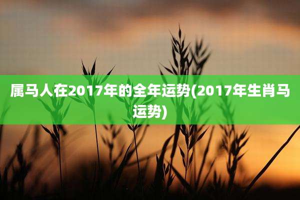 属马人在2017年的全年运势(2017年生肖马运势)