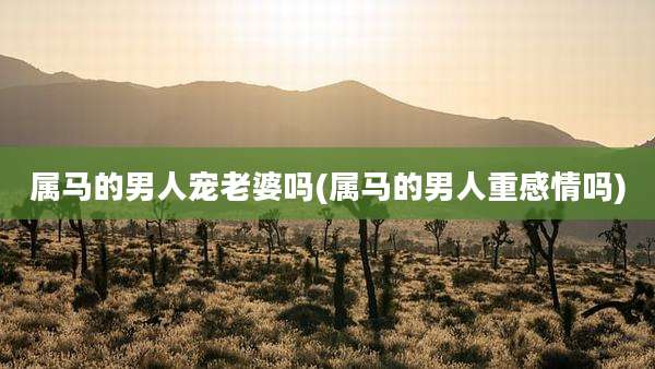 属马的男人宠老婆吗(属马的男人重感情吗)