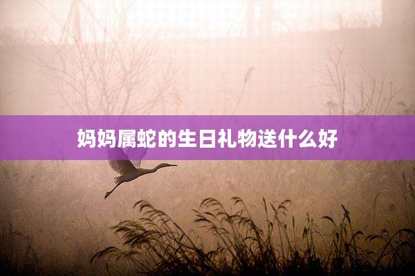 妈妈属蛇的生日礼物送什么好