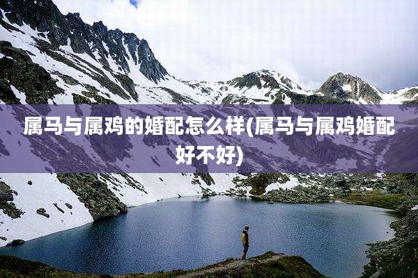 属马与属鸡的婚配怎么样(属马与属鸡婚配好不好)