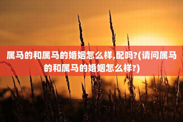 属马的和属马的婚姻怎么样,配吗?(请问属马的和属马的婚姻怎么样?)