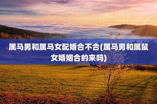 属马男和属马女配婚合不合(属马男和属鼠女婚姻合的来吗)