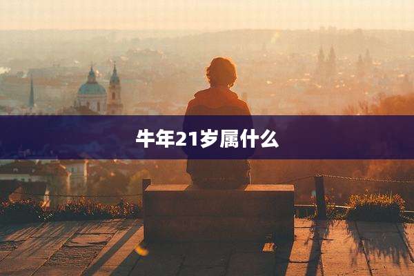 牛年21岁属什么