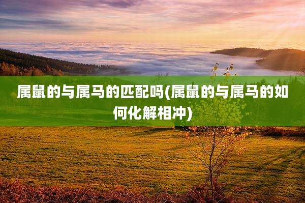 属鼠的与属马的匹配吗(属鼠的与属马的如何化解相冲)