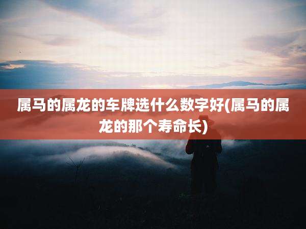 属马的属龙的车牌选什么数字好(属马的属龙的那个寿命长)