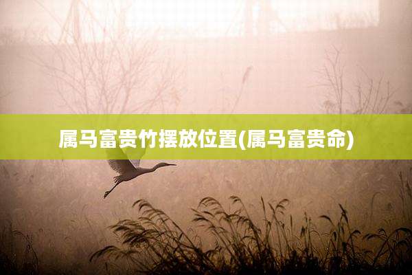 属马富贵竹摆放位置(属马富贵命)