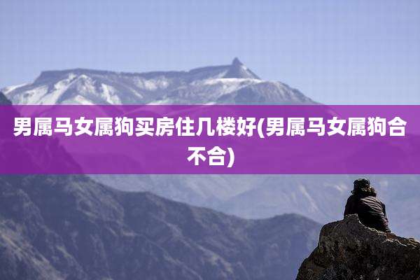 男属马女属狗买房住几楼好(男属马女属狗合不合)