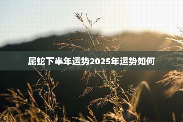 属蛇下半年运势2025年运势如何