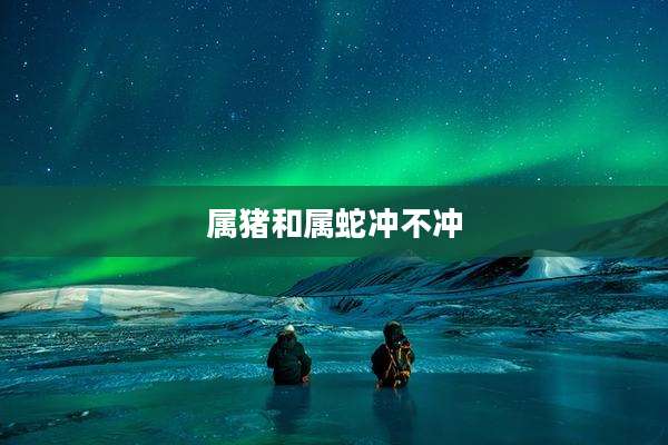 属猪和属蛇冲不冲