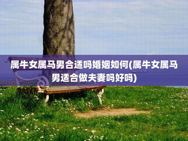 属牛女属马男合适吗婚姻如何(属牛女属马男适合做夫妻吗好吗)