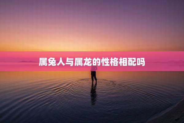 属兔人与属龙的性格相配吗