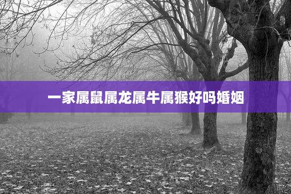 一家属鼠属龙属牛属猴好吗婚姻