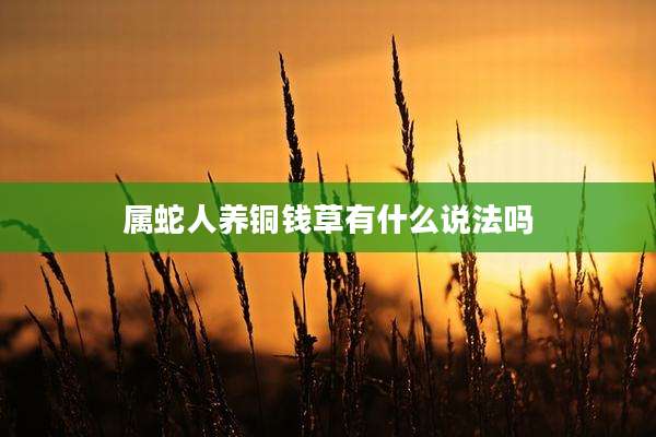 属蛇人养铜钱草有什么说法吗