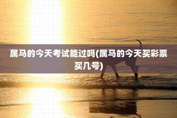 属马的今天考试能过吗(属马的今天买彩票买几号)