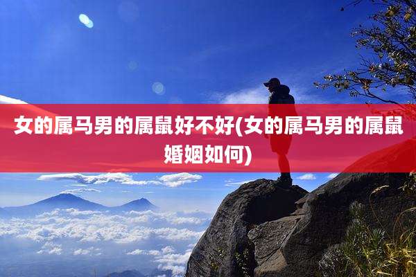 女的属马男的属鼠好不好(女的属马男的属鼠婚姻如何)