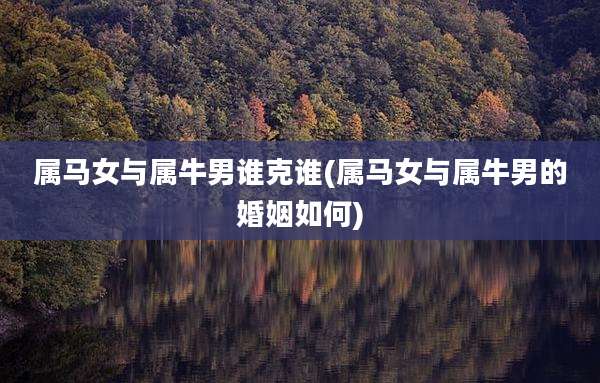 属马女与属牛男谁克谁(属马女与属牛男的婚姻如何)