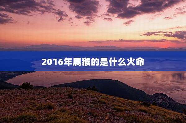 2016年属猴的是什么火命