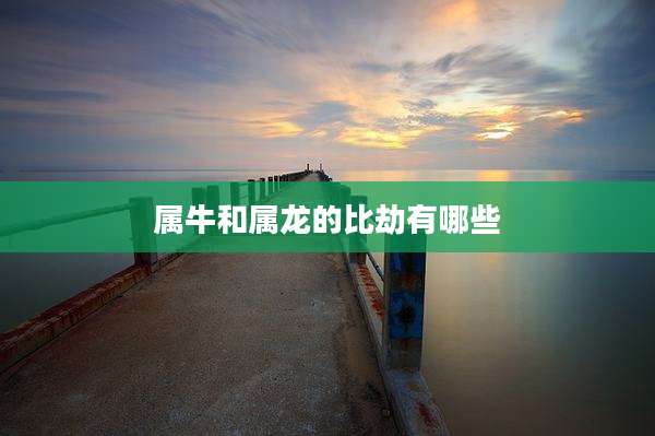 属牛和属龙的比劫有哪些