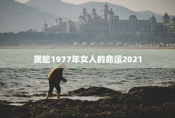 属蛇1977年女人的命运2021