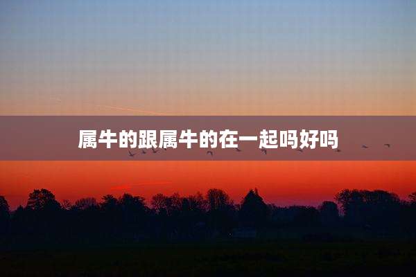 属牛的跟属牛的在一起吗好吗