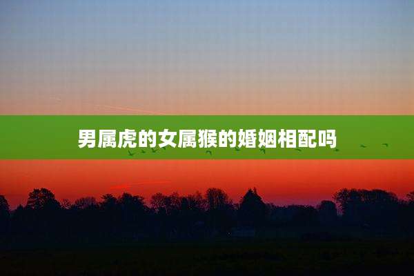 男属虎的女属猴的婚姻相配吗