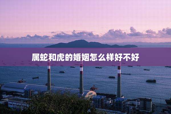 属蛇和虎的婚姻怎么样好不好