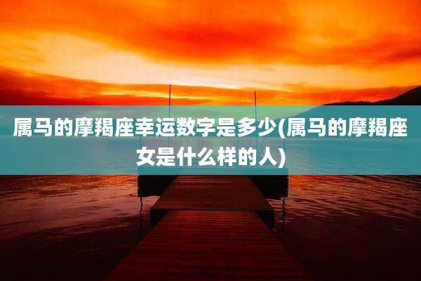 属马的摩羯座幸运数字是多少(属马的摩羯座女是什么样的人)