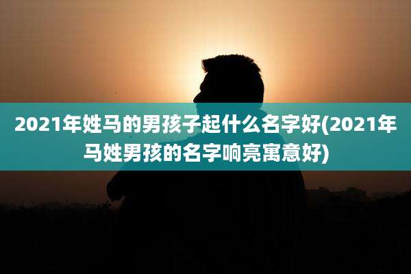 2021年姓马的男孩子起什么名字好(2021年马姓男孩的名字响亮寓意好)