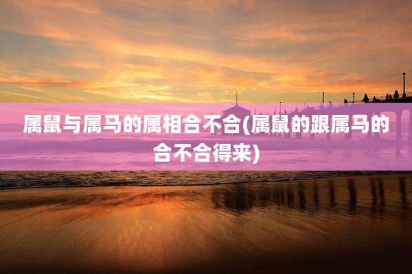 属鼠与属马的属相合不合(属鼠的跟属马的合不合得来)