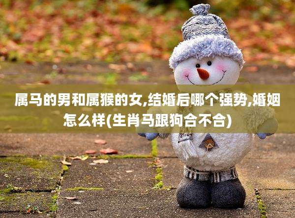 属马的男和属猴的女,结婚后哪个强势,婚姻怎么样(生肖马跟狗合不合)