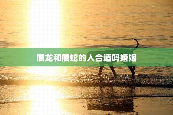 属龙和属蛇的人合适吗婚姻