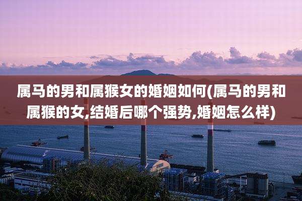 属马的男和属猴女的婚姻如何(属马的男和属猴的女,结婚后哪个强势,婚姻怎么样)