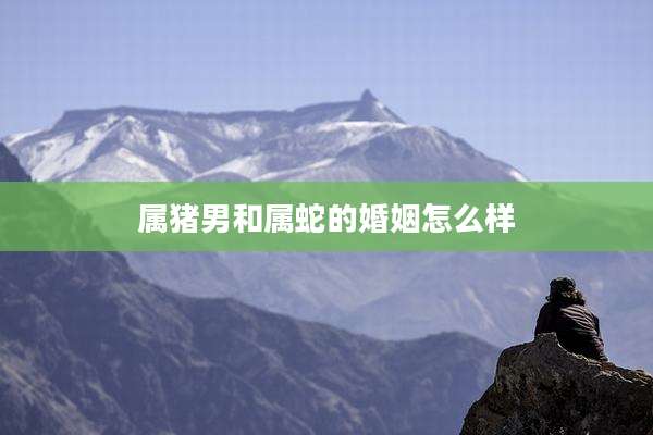 属猪男和属蛇的婚姻怎么样