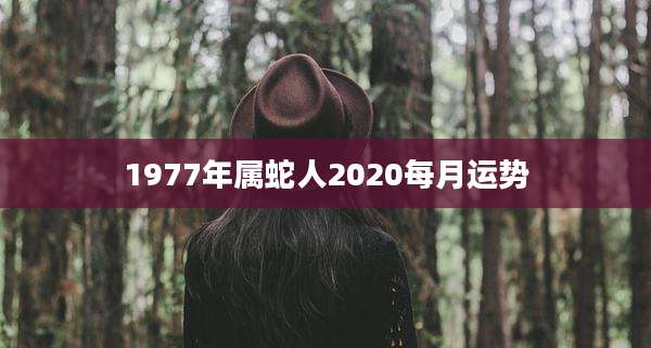 1977年属蛇人2020每月运势