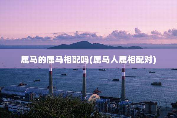属马的属马相配吗(属马人属相配对)