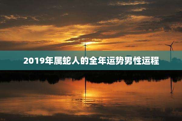 2019年属蛇人的全年运势男性运程