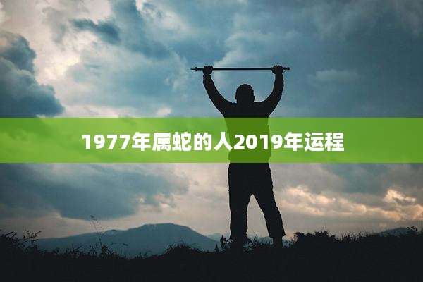 1977年属蛇的人2019年运程
