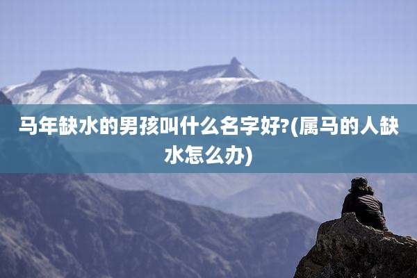 马年缺水的男孩叫什么名字好?(属马的人缺水怎么办)