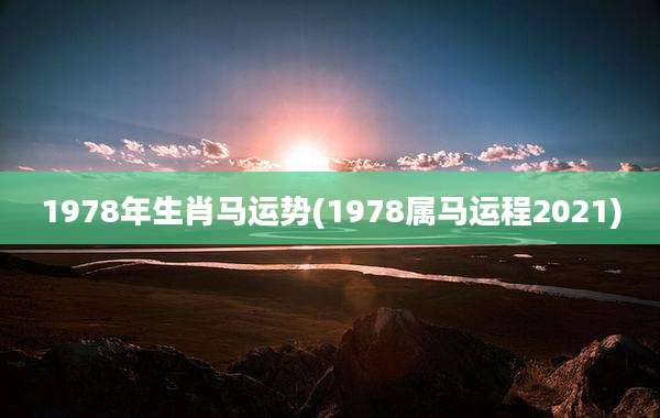 1978年生肖马运势(1978属马运程2021)