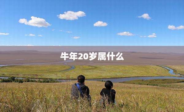 牛年20岁属什么