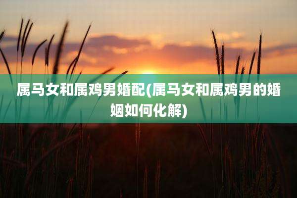 属马女和属鸡男婚配(属马女和属鸡男的婚姻如何化解)