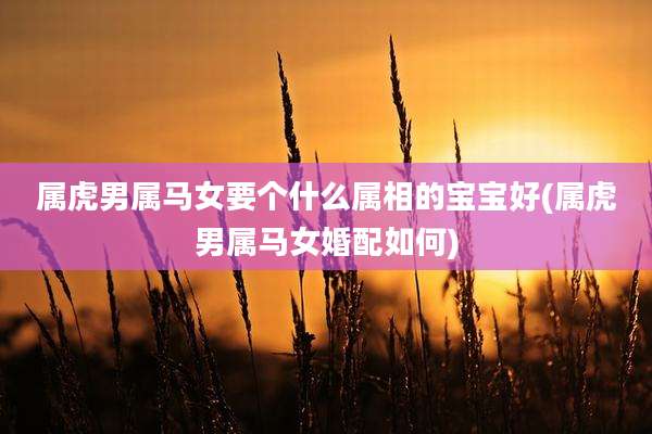 属虎男属马女要个什么属相的宝宝好(属虎男属马女婚配如何)