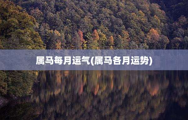 属马每月运气(属马各月运势)