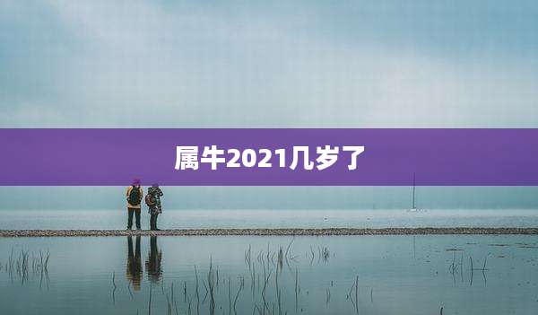 属牛2021几岁了