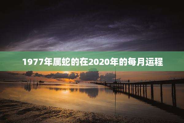 1977年属蛇的在2020年的每月运程