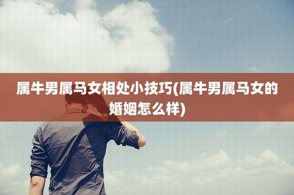 属牛男属马女相处小技巧(属牛男属马女的婚姻怎么样)