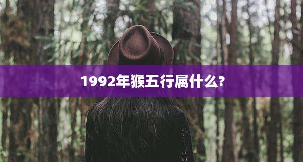 1992年猴五行属什么?