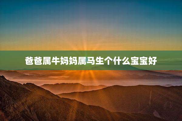 爸爸属牛妈妈属马生个什么宝宝好